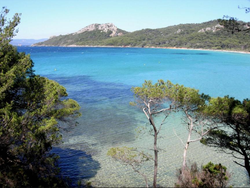 Superbe T2 Proche Des Plages Et Des Commerces Hyeres Exterior photo